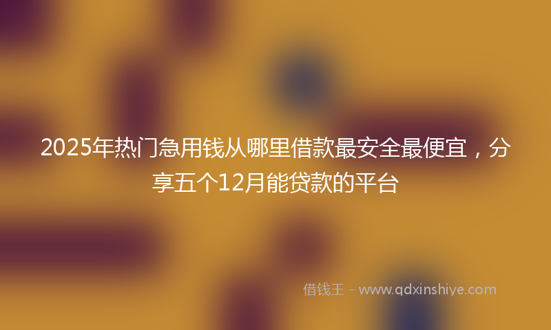 2025年热门急用钱从哪里借款最安全最便宜，分享五个12月能贷款的平台