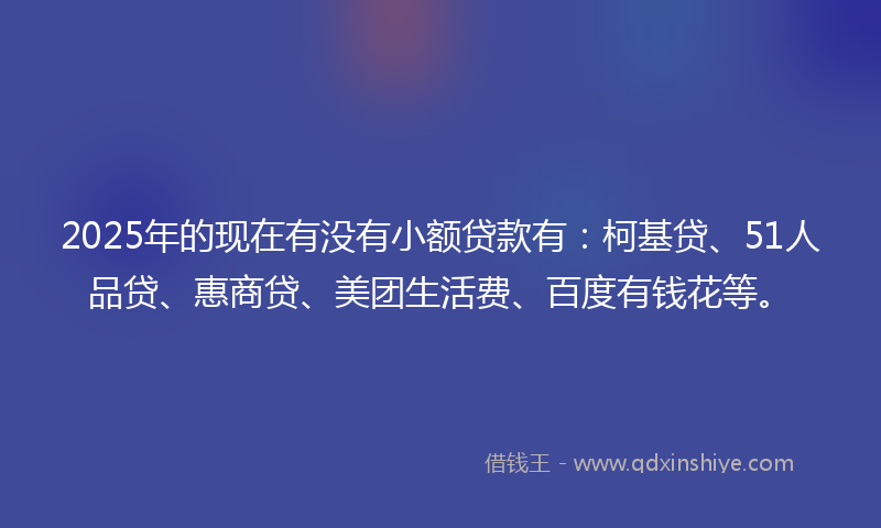 2025年的现在有没有小额贷款有：柯基贷、51人品贷、惠商贷、美团生活费、百度有钱花等。