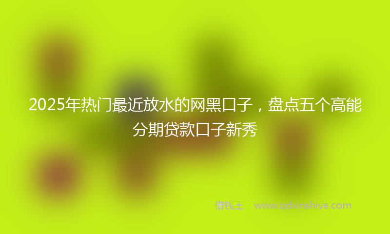 2025年热门最近放水的网黑口子，盘点五个高能分期贷款口子新秀