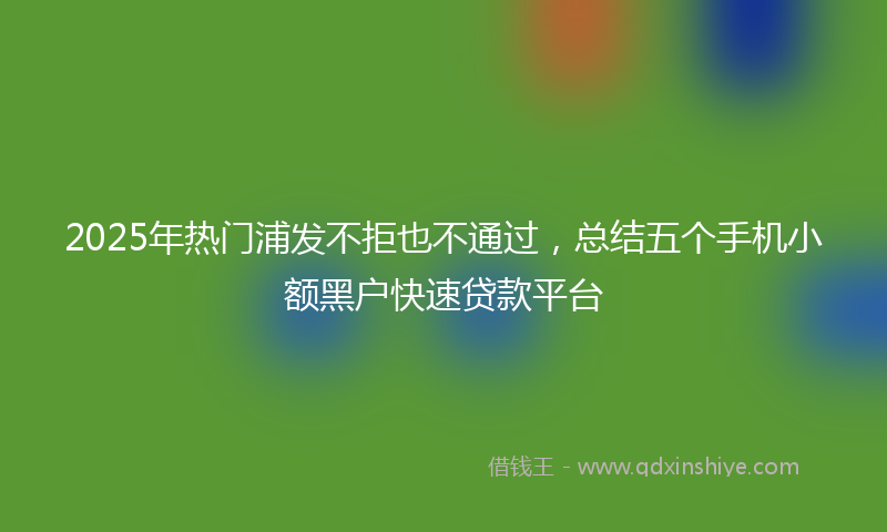 2025年热门浦发不拒也不通过，总结五个手机小额黑户快速贷款平台