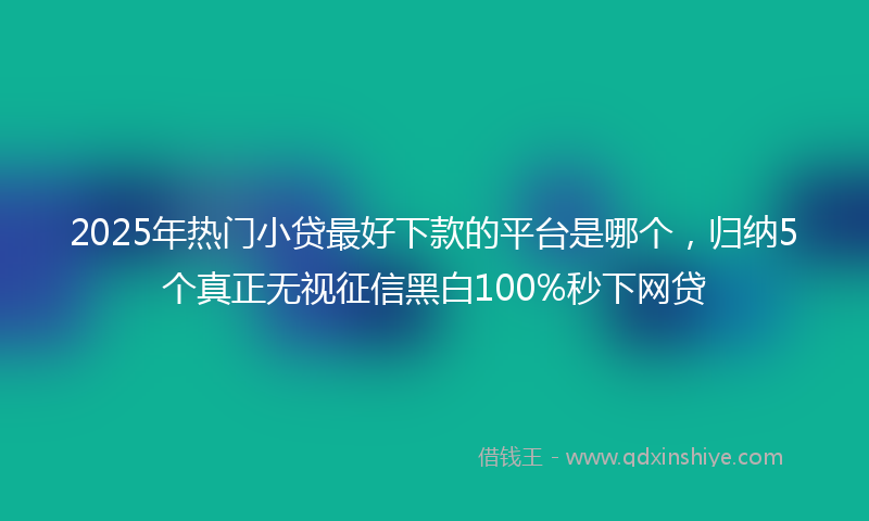 2025年热门小贷最好下款的平台是哪个，归纳5个真正无视征信黑白100%秒下网贷