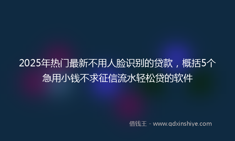2025年热门最新不用人脸识别的贷款，概括5个急用小钱不求征信流水轻松贷的软件