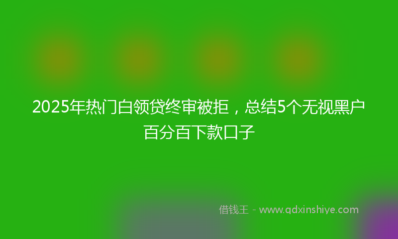 2025年热门白领贷终审被拒，总结5个无视黑户百分百下款口子