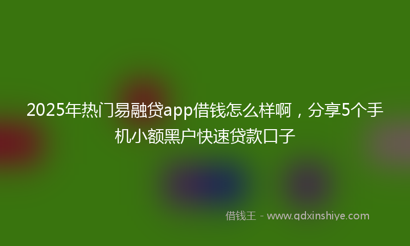 2025年热门易融贷app借钱怎么样啊，分享5个手机小额黑户快速贷款口子