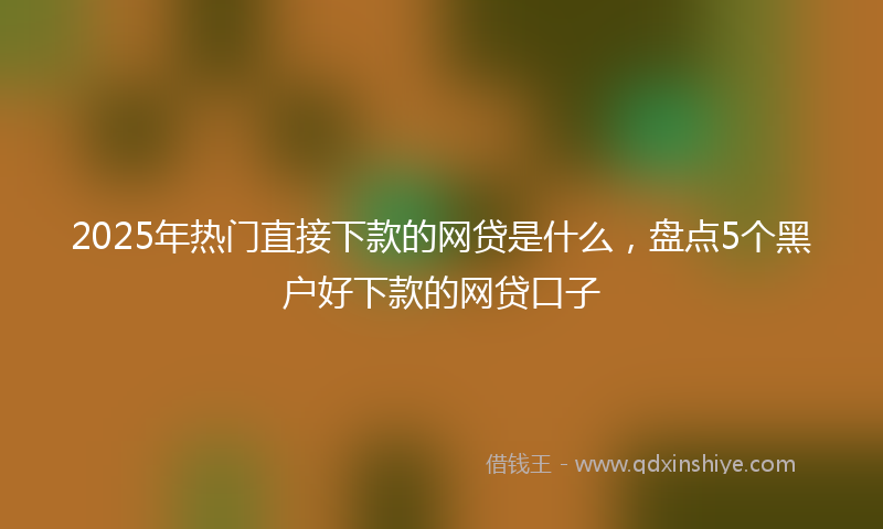 2025年热门直接下款的网贷是什么，盘点5个黑户好下款的网贷口子