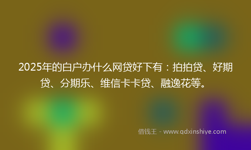 2025年的白户办什么网贷好下有：拍拍贷、好期贷、分期乐、维信卡卡贷、融逸花等。