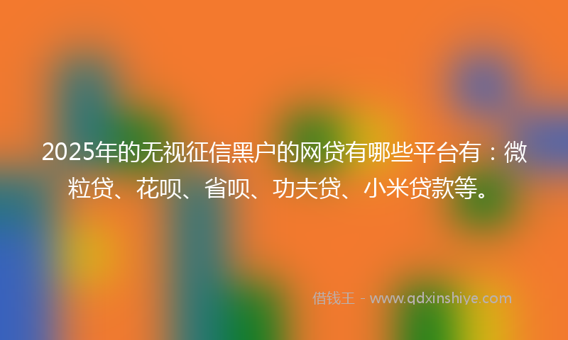 2025年的无视征信黑户的网贷有哪些平台有：微粒贷、花呗、省呗、功夫贷、小米贷款等。