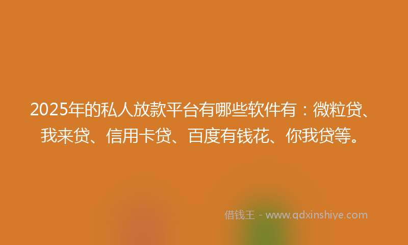 2025年的私人放款平台有哪些软件有：微粒贷、我来贷、信用卡贷、百度有钱花、你我贷等。