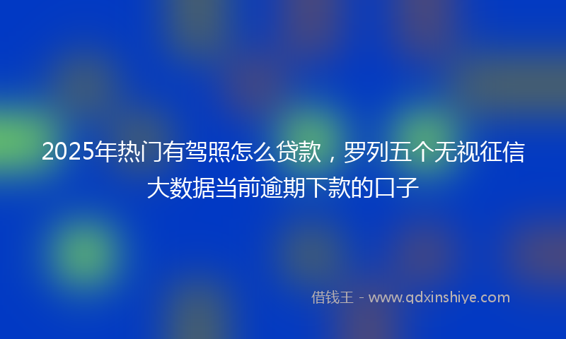 2025年热门有驾照怎么贷款，罗列五个无视征信大数据当前逾期下款的口子