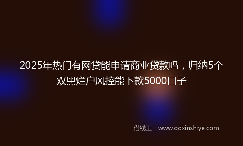 2025年热门有网贷能申请商业贷款吗，归纳5个双黑烂户风控能下款5000口子