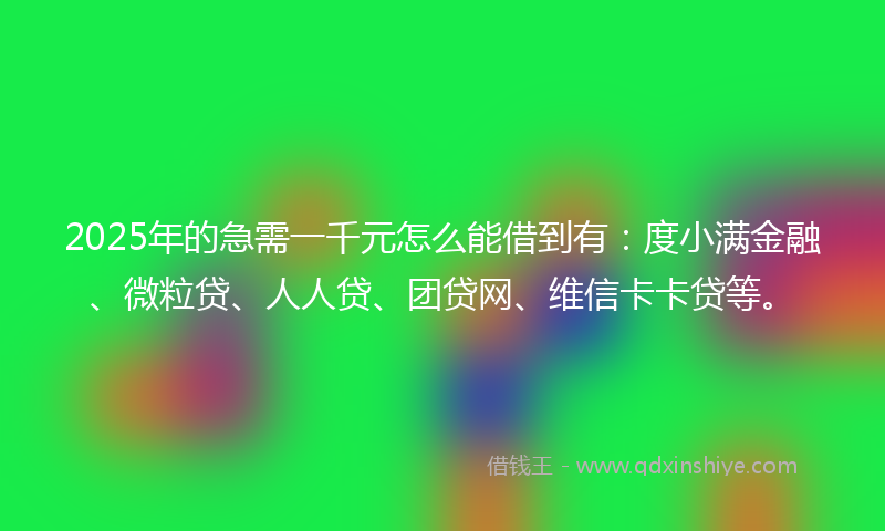 2025年的急需一千元怎么能借到有：度小满金融、微粒贷、人人贷、团贷网、维信卡卡贷等。