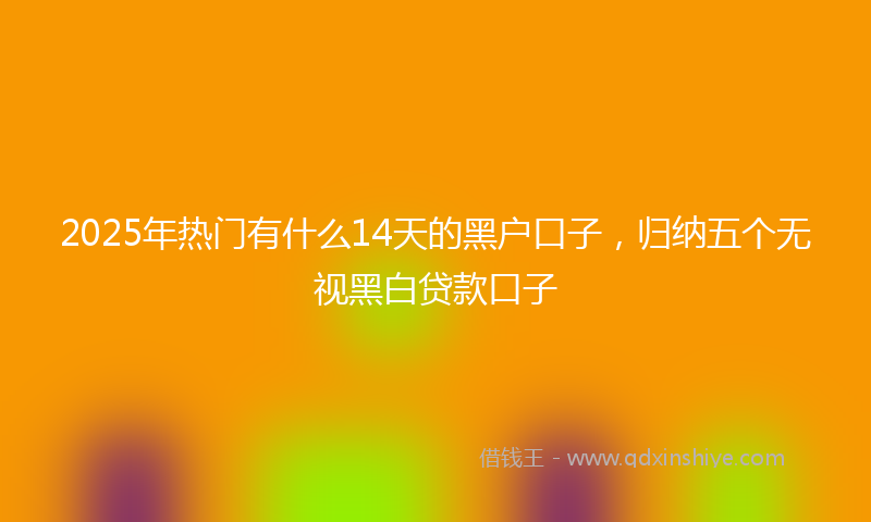 2025年热门有什么14天的黑户口子，归纳五个无视黑白贷款口子