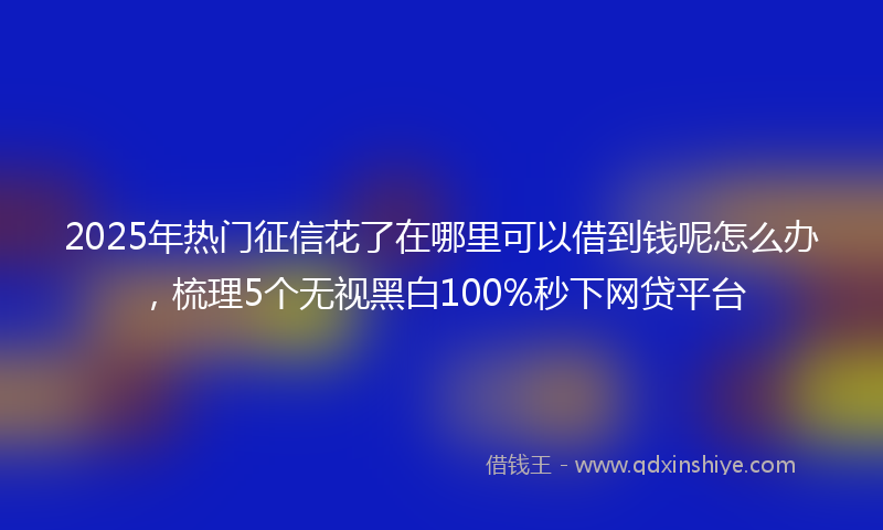 2025年热门征信花了在哪里可以借到钱呢怎么办，梳理5个无视黑白100%秒下网贷平台