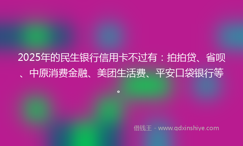 2025年的民生银行信用卡不过有：拍拍贷、省呗、中原消费金融、美团生活费、平安口袋银行等。