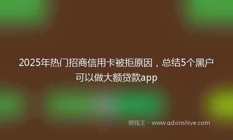 2025年热门招商信用卡被拒原因，总结5个黑户可以做大额贷款app