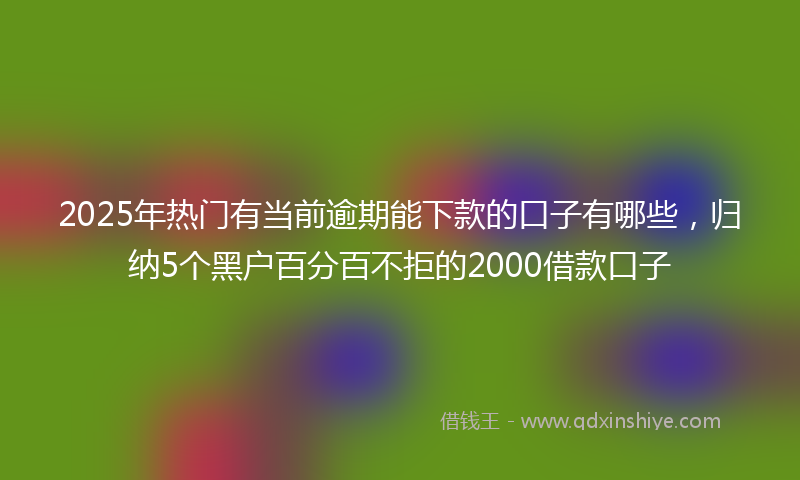 2025年热门有当前逾期能下款的口子有哪些，归纳5个黑户百分百不拒的2000借款口子