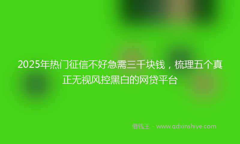 2025年热门征信不好急需三千块钱，梳理五个真正无视风控黑白的网贷平台