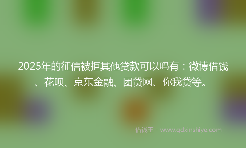 2025年的征信被拒其他贷款可以吗有：微博借钱、花呗、京东金融、团贷网、你我贷等。