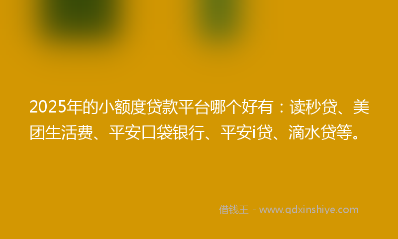 2025年的小额度贷款平台哪个好有：读秒贷、美团生活费、平安口袋银行、平安i贷、滴水贷等。