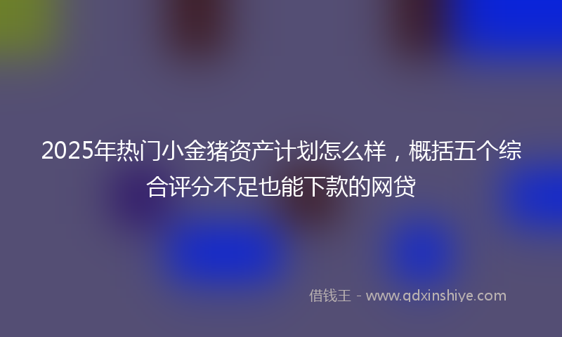 2025年热门小金猪资产计划怎么样,概括五个综合评分不足也能下款的网贷