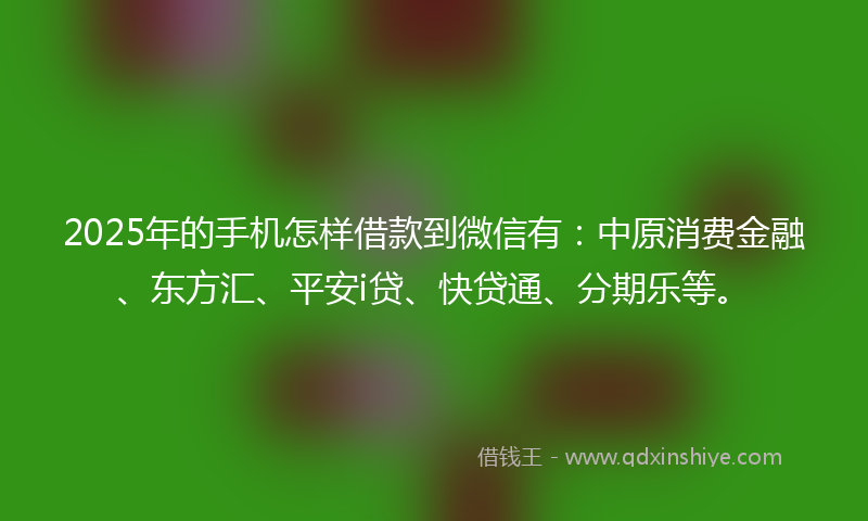 2025年的手机怎样借款到微信有：中原消费金融、东方汇、平安i贷、快贷通、分期乐等。