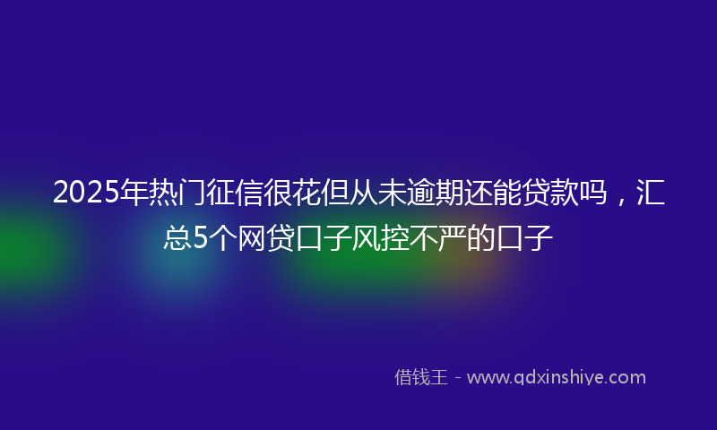 2025年热门征信很花但从未逾期还能贷款吗，汇总5个网贷口子风控不严的口子