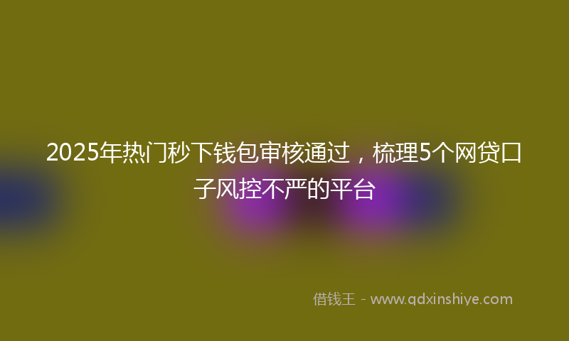 2025年热门秒下钱包审核通过，梳理5个网贷口子风控不严的平台