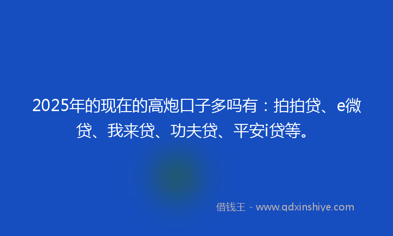 2025年的现在的高炮口子多吗有：拍拍贷、e微贷、我来贷、功夫贷、平安i贷等。