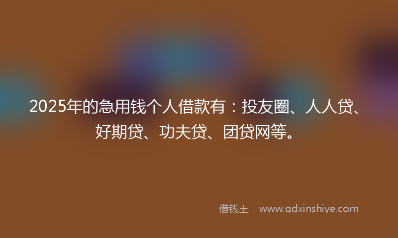 2025年的急用钱个人借款有：投友圈、人人贷、好期贷、功夫贷、团贷网等。