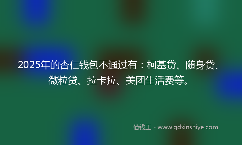 2025年的杏仁钱包不通过有：柯基贷、随身贷、微粒贷、拉卡拉、美团生活费等。