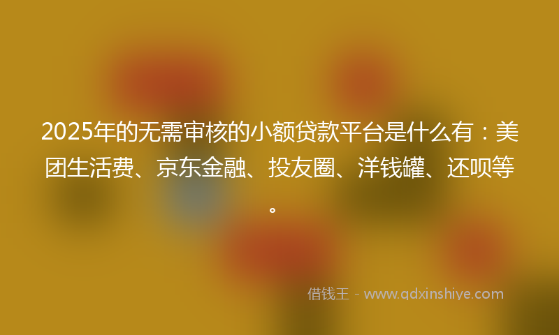 2025年的无需审核的小额贷款平台是什么有：美团生活费、京东金融、投友圈、洋钱罐、还呗等。