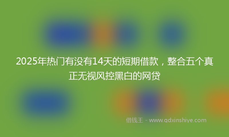 2025年热门有没有14天的短期借款，整合五个真正无视风控黑白的网贷