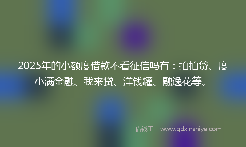 2025年的小额度借款不看征信吗有：拍拍贷、度小满金融、我来贷、洋钱罐、融逸花等。