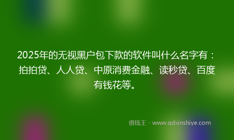 2025年的无视黑户包下款的软件叫什么名字有：拍拍贷、人人贷、中原消费金融、读秒贷、百度有钱花等。