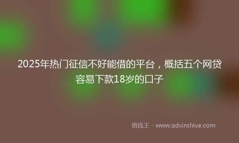 2025年热门征信不好能借的平台，概括五个网贷容易下款18岁的口子