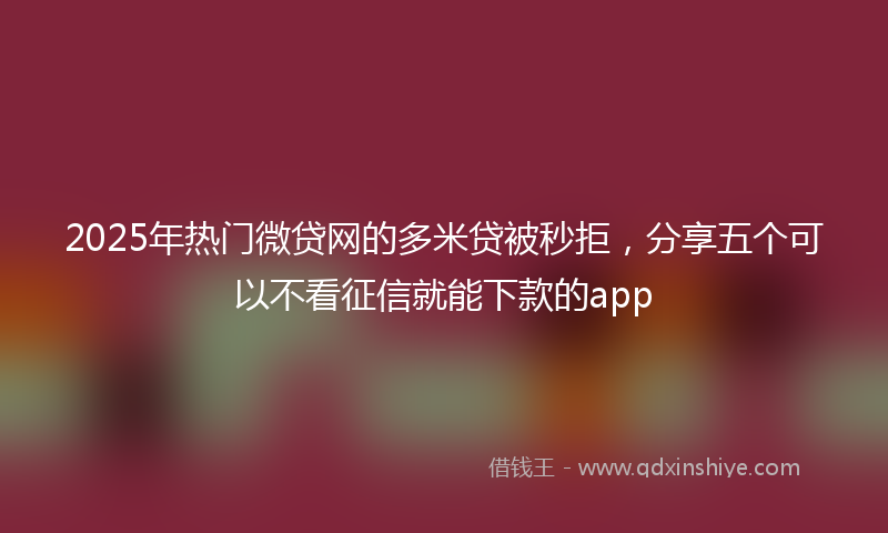 2025年热门微贷网的多米贷被秒拒，分享五个可以不看征信就能下款的app