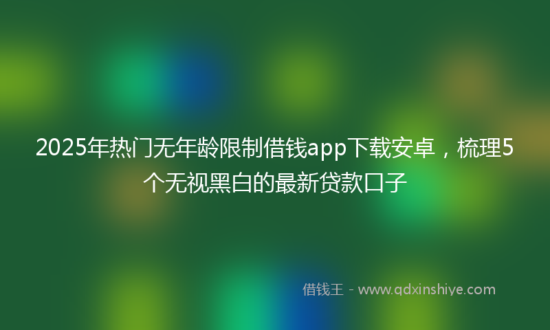 2025年热门无年龄限制借钱app下载安卓，梳理5个无视黑白的最新贷款口子