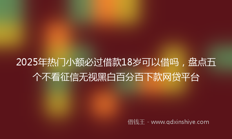 2025年热门小额必过借款18岁可以借吗，盘点五个不看征信无视黑白百分百下款网贷平台