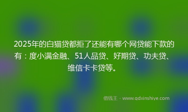2025年的白猫贷都拒了还能有哪个网贷能下款的有：度小满金融、51人品贷、好期贷、功夫贷、维信卡卡贷等。