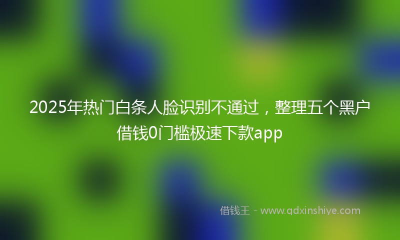 2025年热门白条人脸识别不通过，整理五个黑户借钱0门槛极速下款app