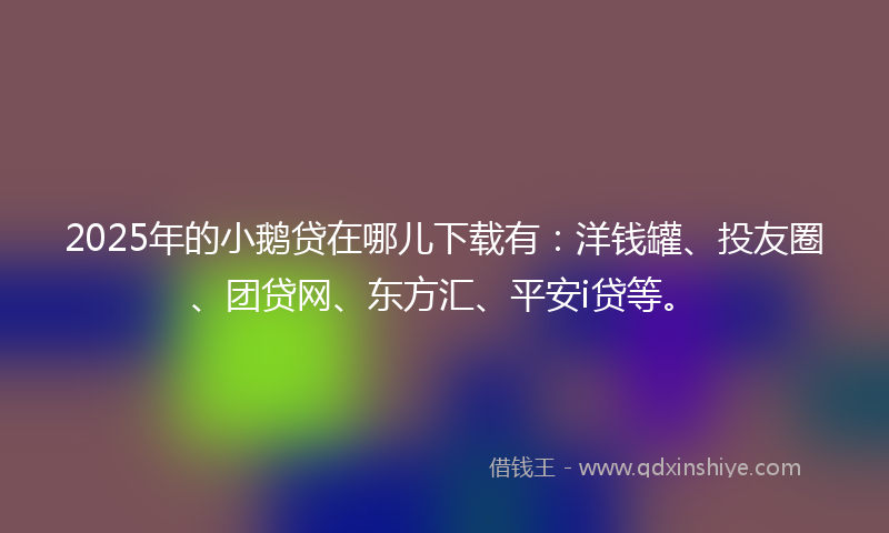 2025年的小鹅贷在哪儿下载有：洋钱罐、投友圈、团贷网、东方汇、平安i贷等。