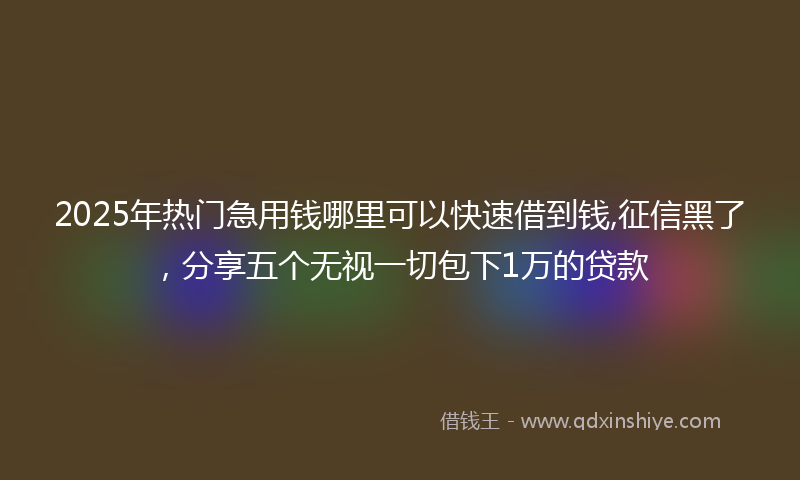 2025年热门急用钱哪里可以快速借到钱,征信黑了，分享五个无视一切包下1万的贷款