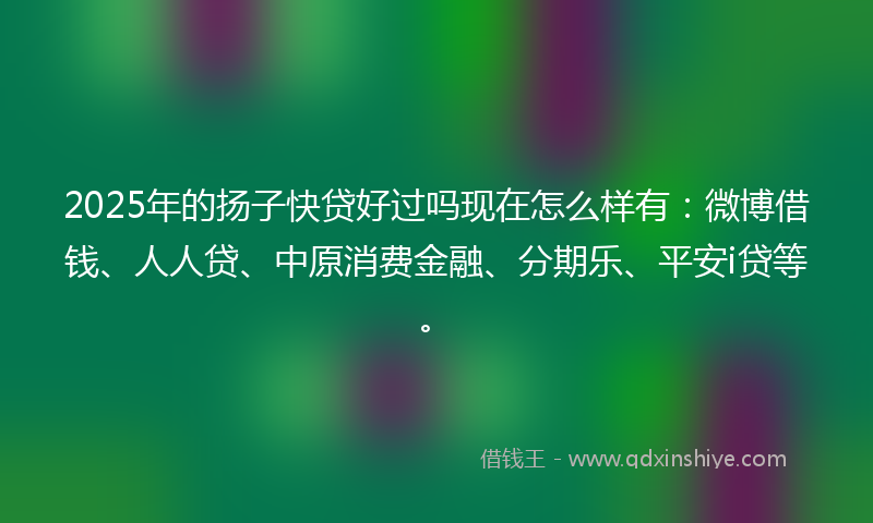 2025年的扬子快贷好过吗现在怎么样有：微博借钱、人人贷、中原消费金融、分期乐、平安i贷等。