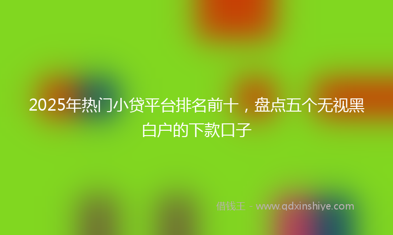 2025年热门小贷平台排名前十，盘点五个无视黑白户的下款口子
