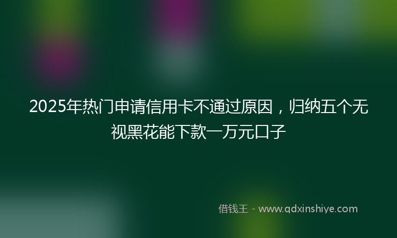 2025年热门申请信用卡不通过原因，归纳五个无视黑花能下款一万元口子