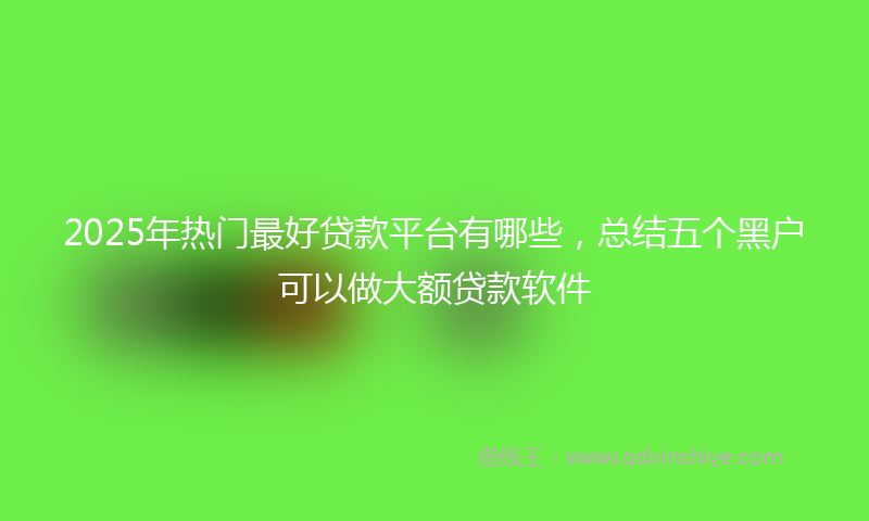 2025年热门最好贷款平台有哪些，总结五个黑户可以做大额贷款软件