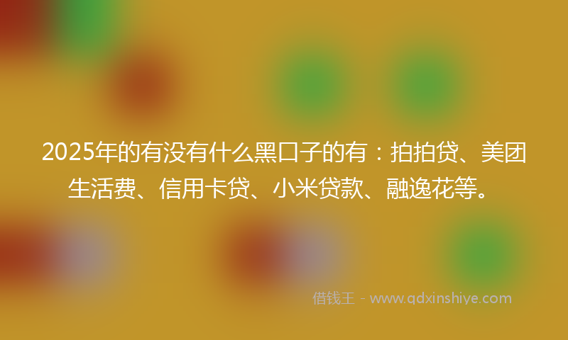 2025年的有没有什么黑口子的有：拍拍贷、美团生活费、信用卡贷、小米贷款、融逸花等。