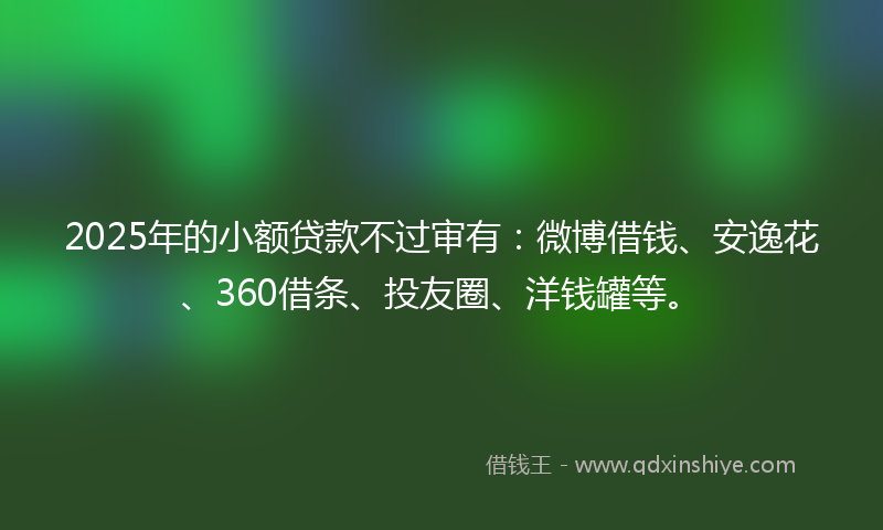 2025年的小额贷款不过审有：微博借钱、安逸花、360借条、投友圈、洋钱罐等。