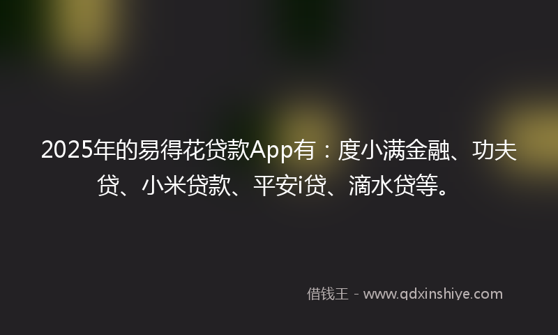 2025年的易得花贷款App有：度小满金融、功夫贷、小米贷款、平安i贷、滴水贷等。