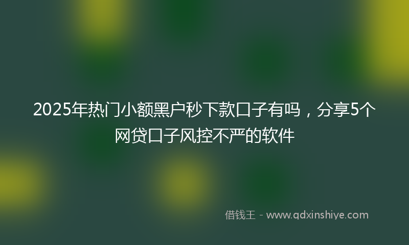 2025年热门小额黑户秒下款口子有吗，分享5个网贷口子风控不严的软件